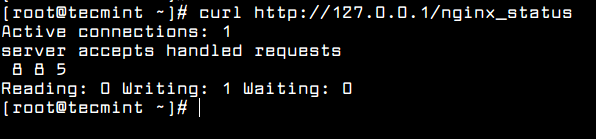 check-nginx-status-page.png